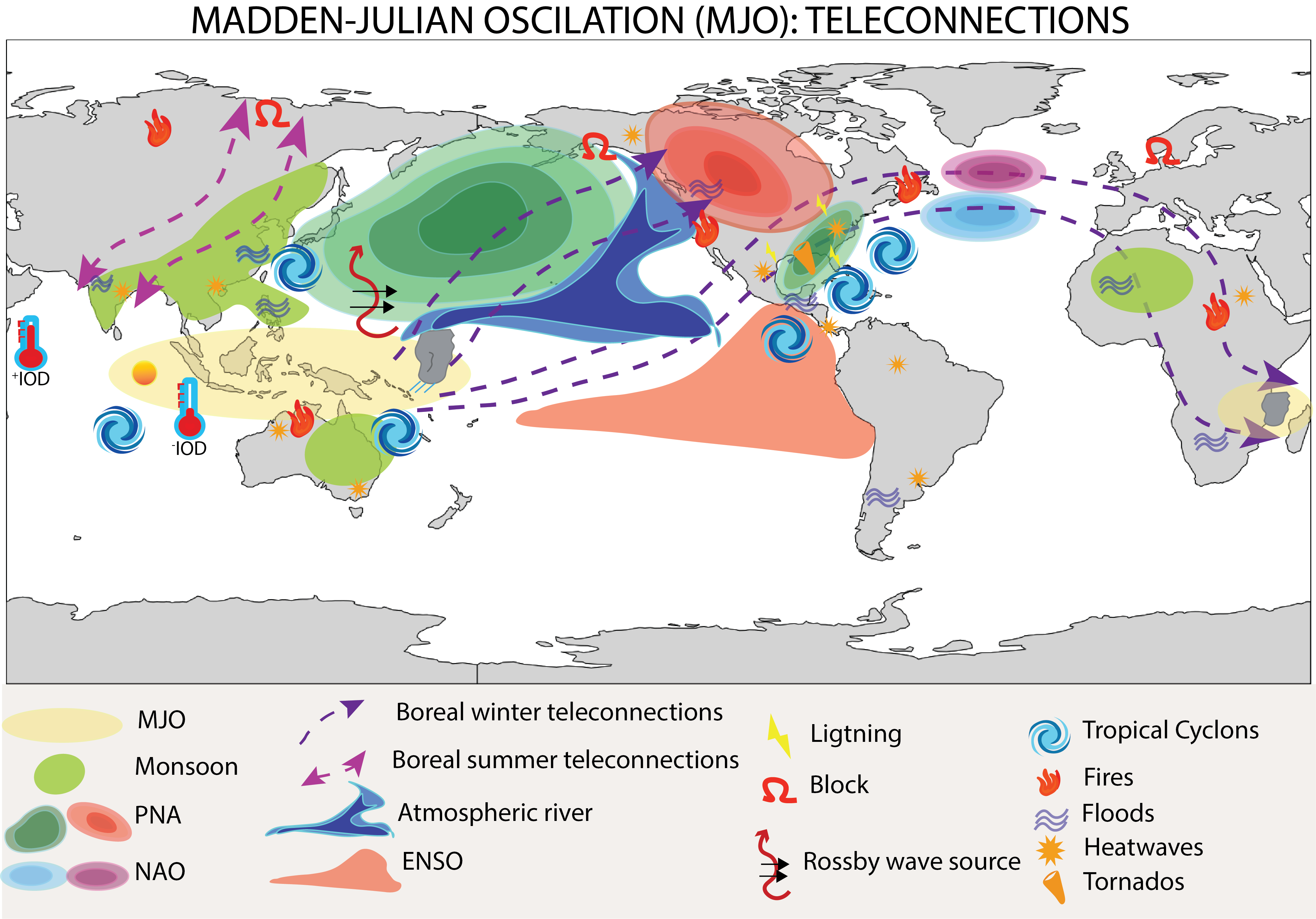 Schematic of MJO Teleconnections