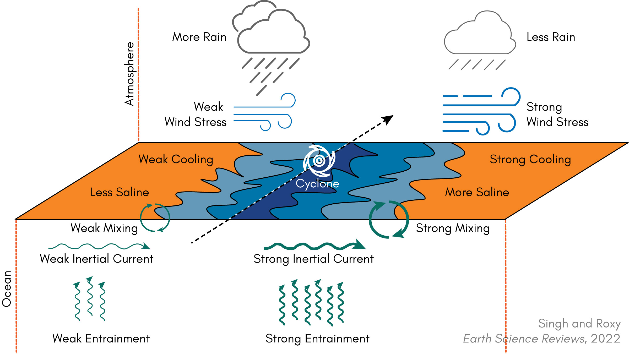 Asymmetric ocean cyclone interactions in the north Indian Ocean