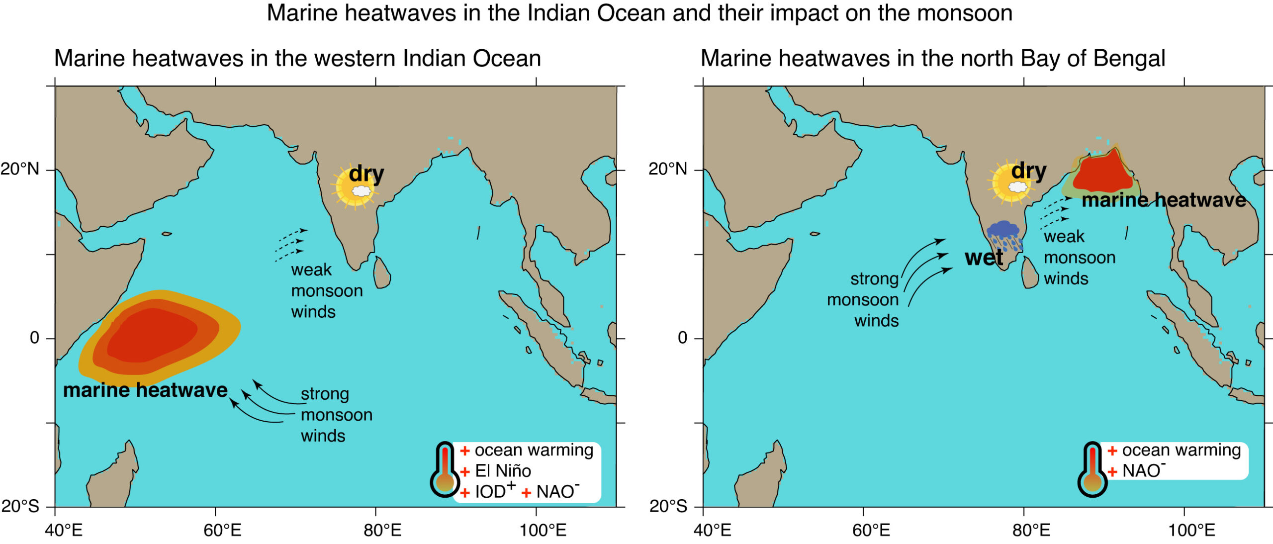 impact of marine heatwaves on the monsoon