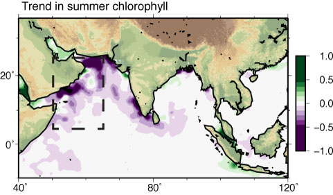 observed summer chlorophyll trends in the Indian Ocean