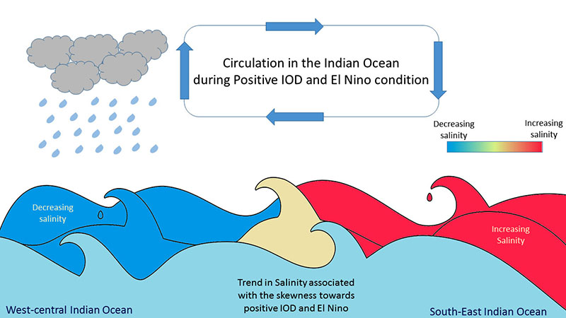 summer salinity distribution and atmospheric conditions over the Indian Ocean during El Nino