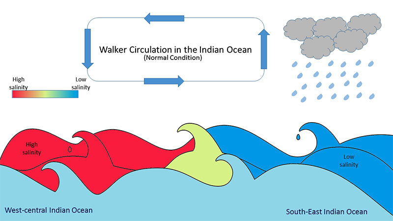 summer salinity distribution and atmospheric conditions over the Indian Ocean