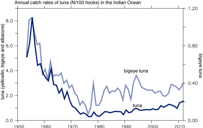 Tuna catch rates for the Indian Ocean