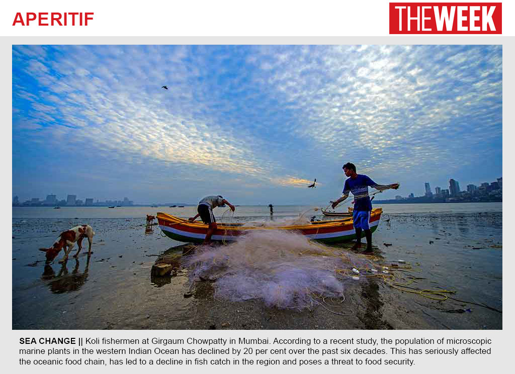 The Week photo feature on declining phytoplankton in the western Indian Ocean