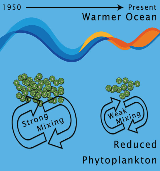 Warming Indian Ocean and declining marine phytoplankton